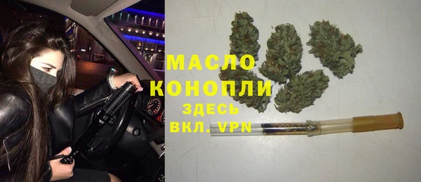 прущий лед Вяземский