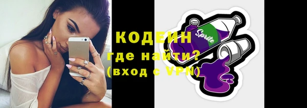 прущий лед Вяземский