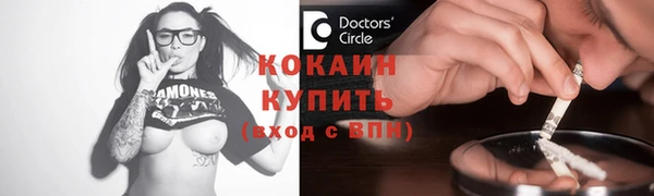 прущий лед Вяземский