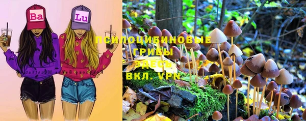 спиды Вязники