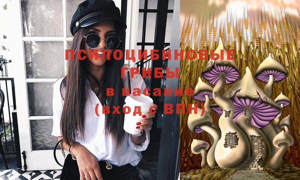 спиды Вязники