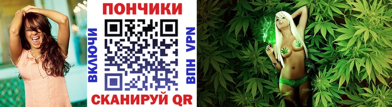 Купить где  Камызяк  Конопля Bruce Banner 
